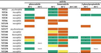 Purification and Characterization of Nitphym, a Robust Thermostable Nitrilase From Paraburkholderia phymatum